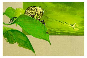 La Cicala e la Formica - La Cicala, cantando, dall'alto di un albero osseva le formiche intente a lavorare