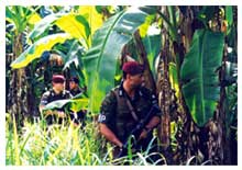 Timor Est, ottobre 1999: richiesto dal Comando Interfet, un plotone dei Carabinieri è inserito nella Compagnia Internazionale di Polizia Militare.