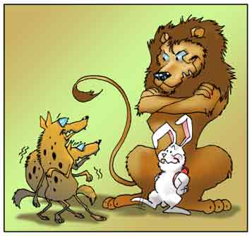 Il grosso leone difende il piccolo coniglio dalle iene