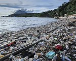 Inquinamento da plastiche e microplastiche nell’ambiente marino